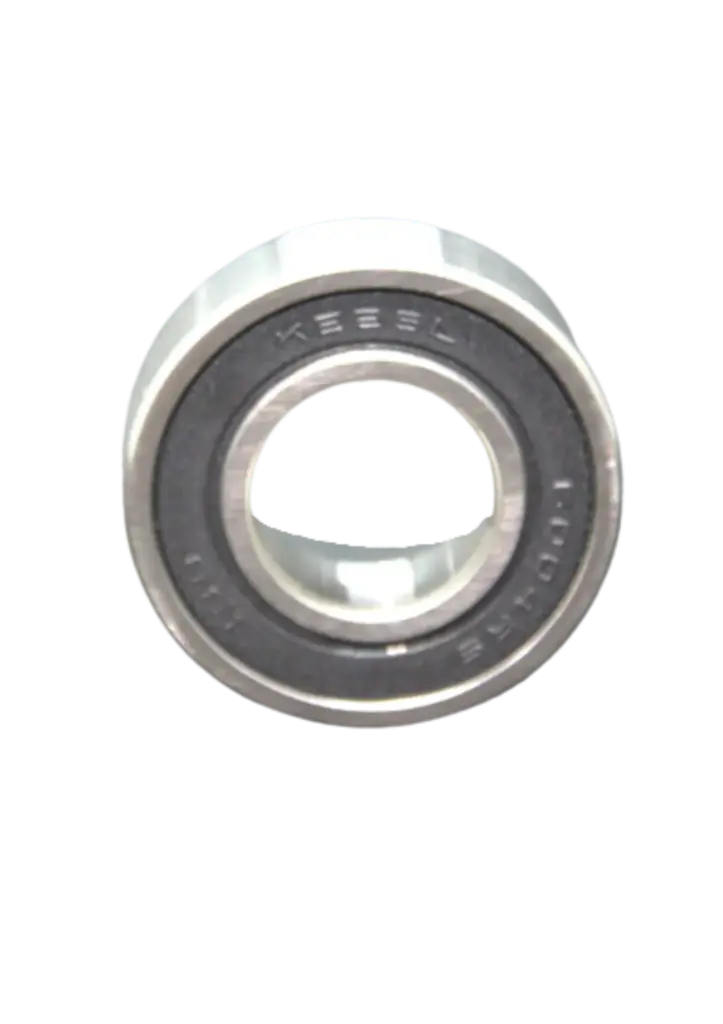 Lager 6004 2-RS